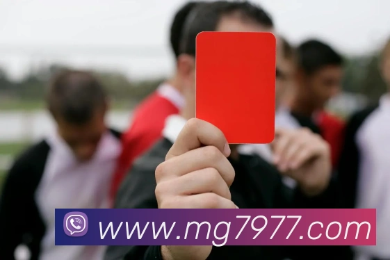 MG娱乐平台官网品牌故事