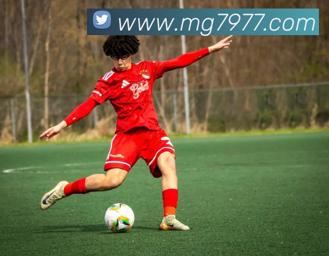 MG娱乐平台官网服务体系