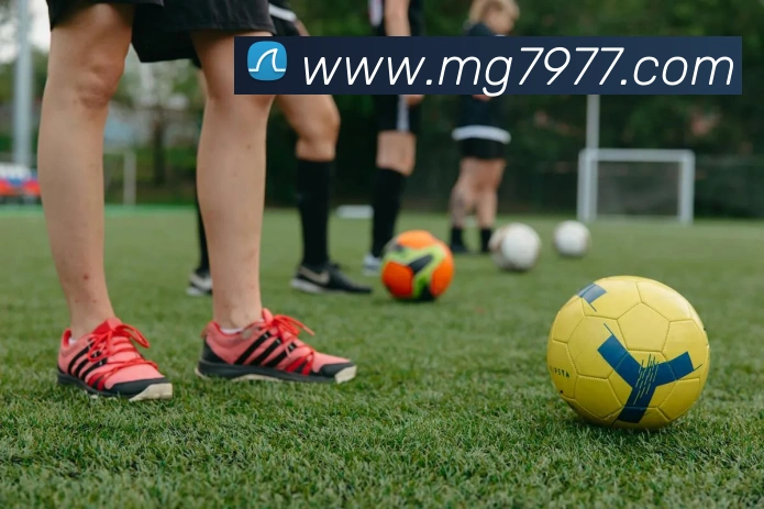 MG娱乐平台官网APP 体育赛事宣传图